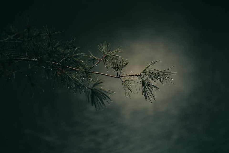 Khoa học Công nghệ