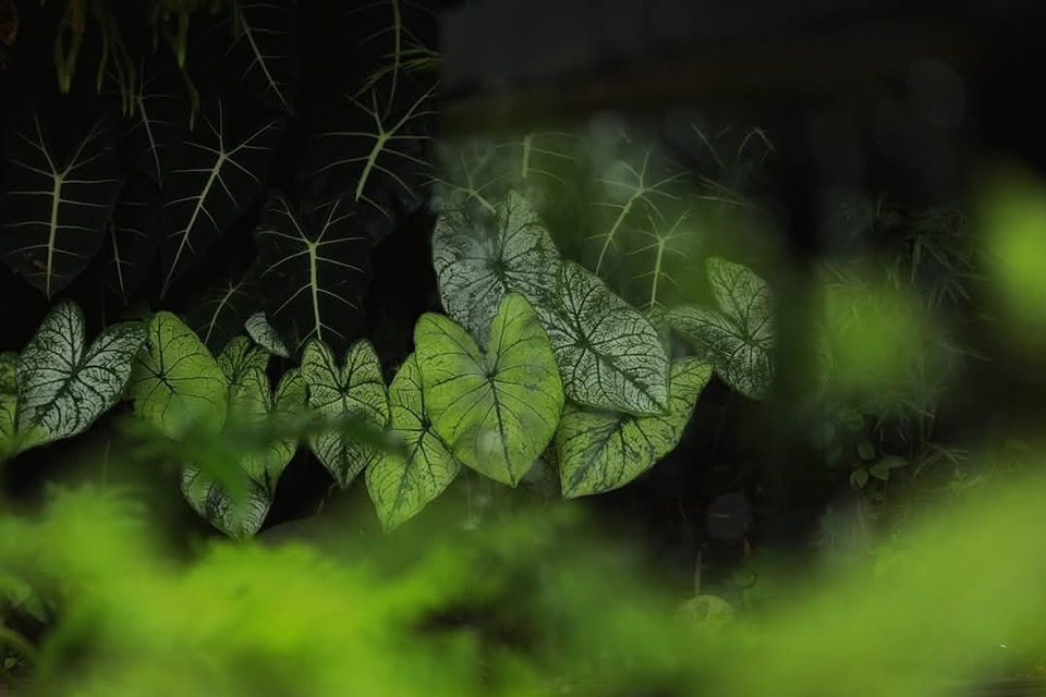 Khoa học Công nghệ