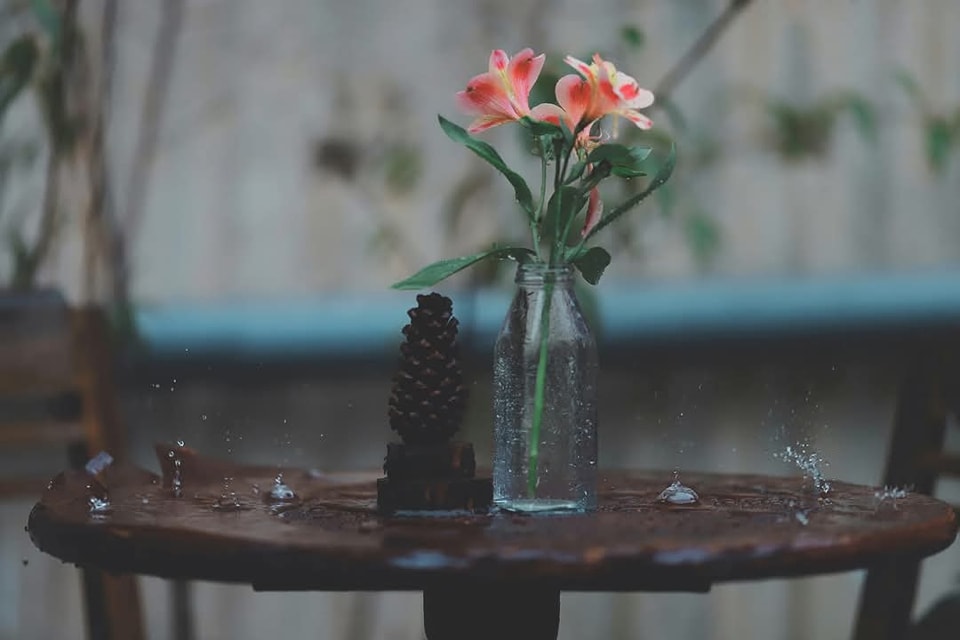 Khoa học Công nghệ