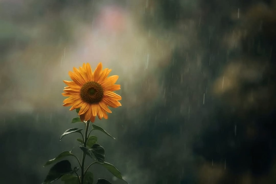 Khoa học Công nghệ